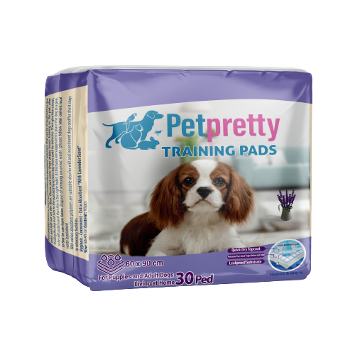 TUVALET EĞİTİM PEDİ LAVANTALI 60X90 CM 30'LU