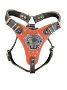 TUGZ RESİMLİ GLADYATÖR DERİ TASMA