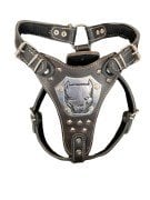 TUGZ RESİMLİ GLADYATÖR DERİ TASMA