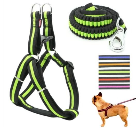 1218 ELASTİK GÖVDE GEZDİRME 2,5 MM