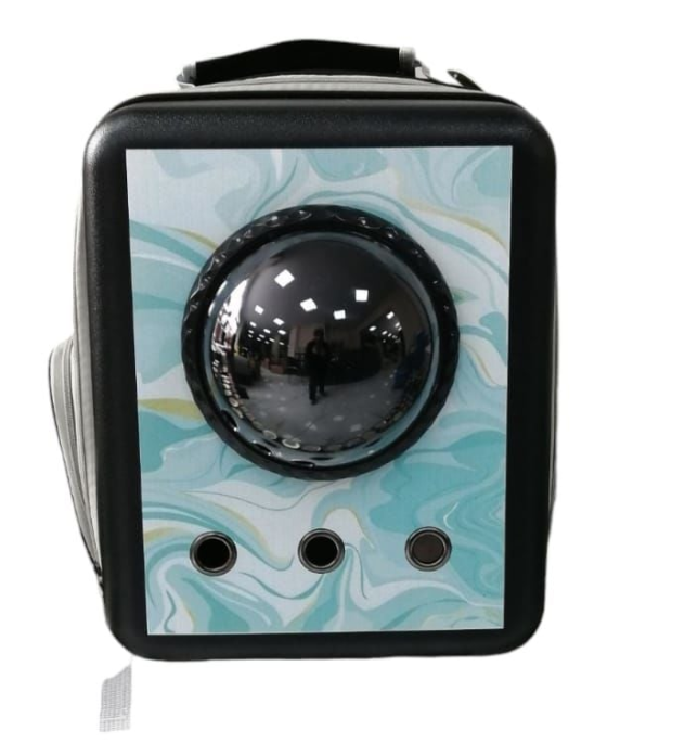 SY416-BLUE  VENİCE ŞEFFAF SIRT TAŞIMA ÇANTASI 37X17X42 MAVİ