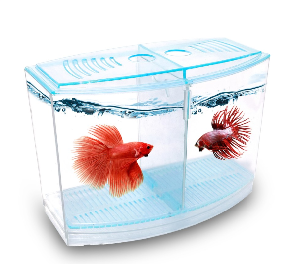 9-19-14 CM BETALIK TANK 1800ML