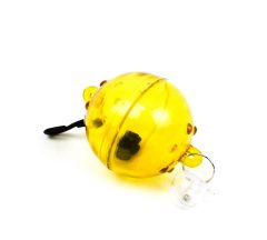 EXOVİT KUŞ OYUN TOPU (KOLİ İÇİ 24 ADETTİR)