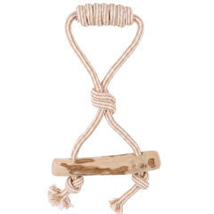 SY667 KAHVE AĞAÇLI KÖPEK DİŞ İPİ 27X14 CM