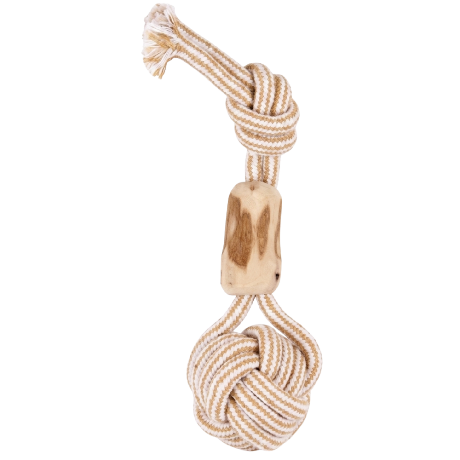 SY656 KAHVE AĞAÇLI KÖPEK DİŞ İPİ 23X5.5 CM