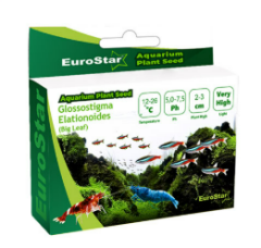 EUROSTAR BİTKİ TOHUM SMALL LEAF BASE PLANT