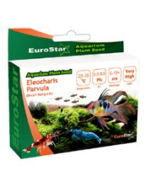 EUROSTAR LARGE LEAF BASE PLANT