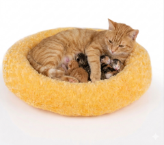 SİMİT YATAK PELUŞ SARI 55X55 CM