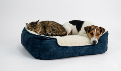 POFUDUK YATAK MAVİ 60X45X15 CM