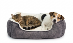 POFUDUK YATAK GRİ 60X45X15 CM