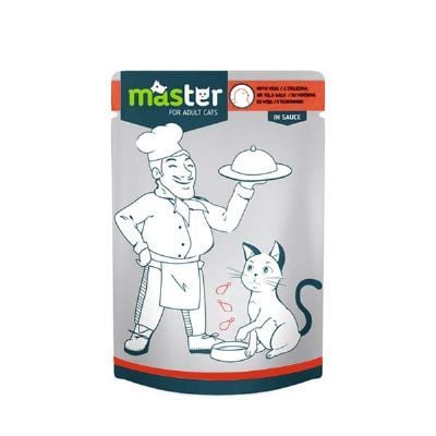 MASTER KÜMES HAYVANLI POUCH KEDİ MAMASI JÖLE 80 GR (KOLİ İÇİ 24 ADETTİR)
