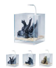 562-JNC JENECA ZJ-20 AKVARYUM+DEKOR 20X20X25 CM (10 L)