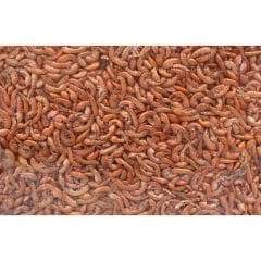 TUĞPET GAMMARUS 150 GR