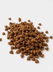 PETBRİDGE SOMONLU YETİŞKİN KEDİ MAMASI 2 KG