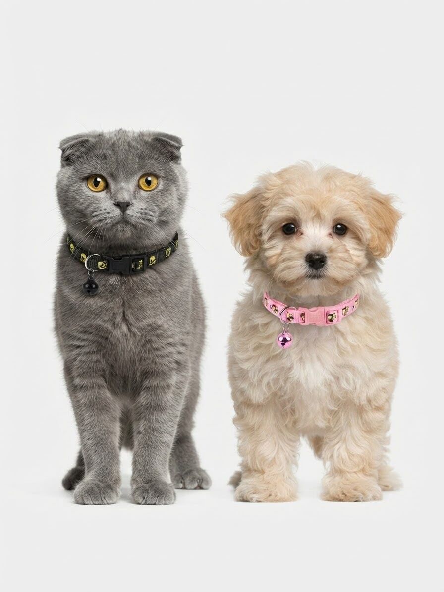 KÖPEK DESENLİ KEDİ BOYUN TASMASI 025(KOLİ İÇİ 12 ADETTİR)
