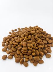 PETBRİDGE KUZU ETLİ MİNİ IRK YETİŞKİN KÖPEK MAMASI 2 KG