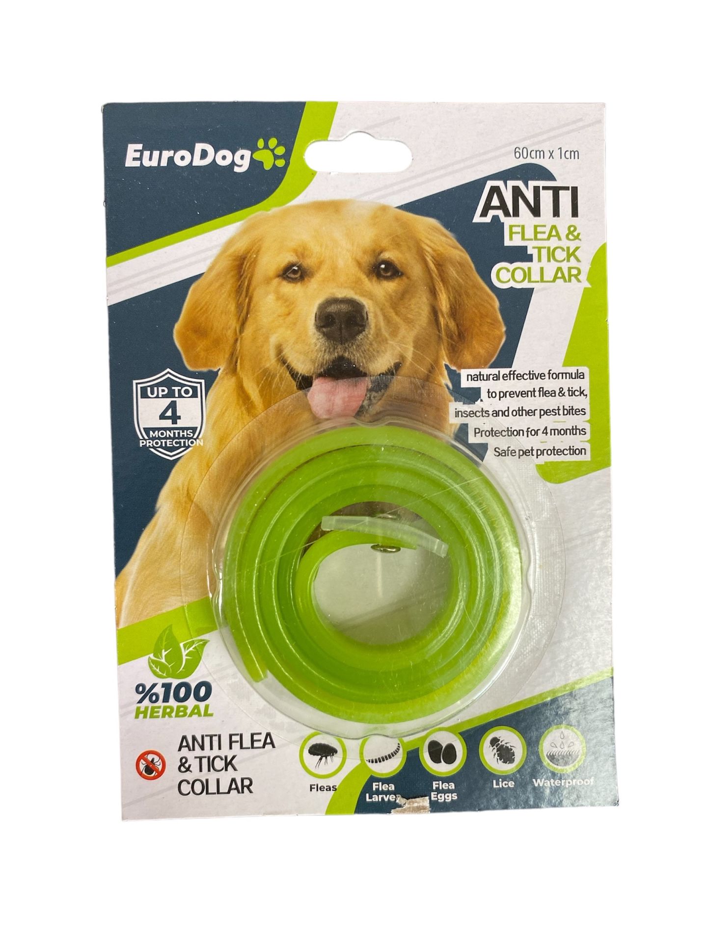 YEŞİL PİRE KÖPEK TASMASI 60 CM