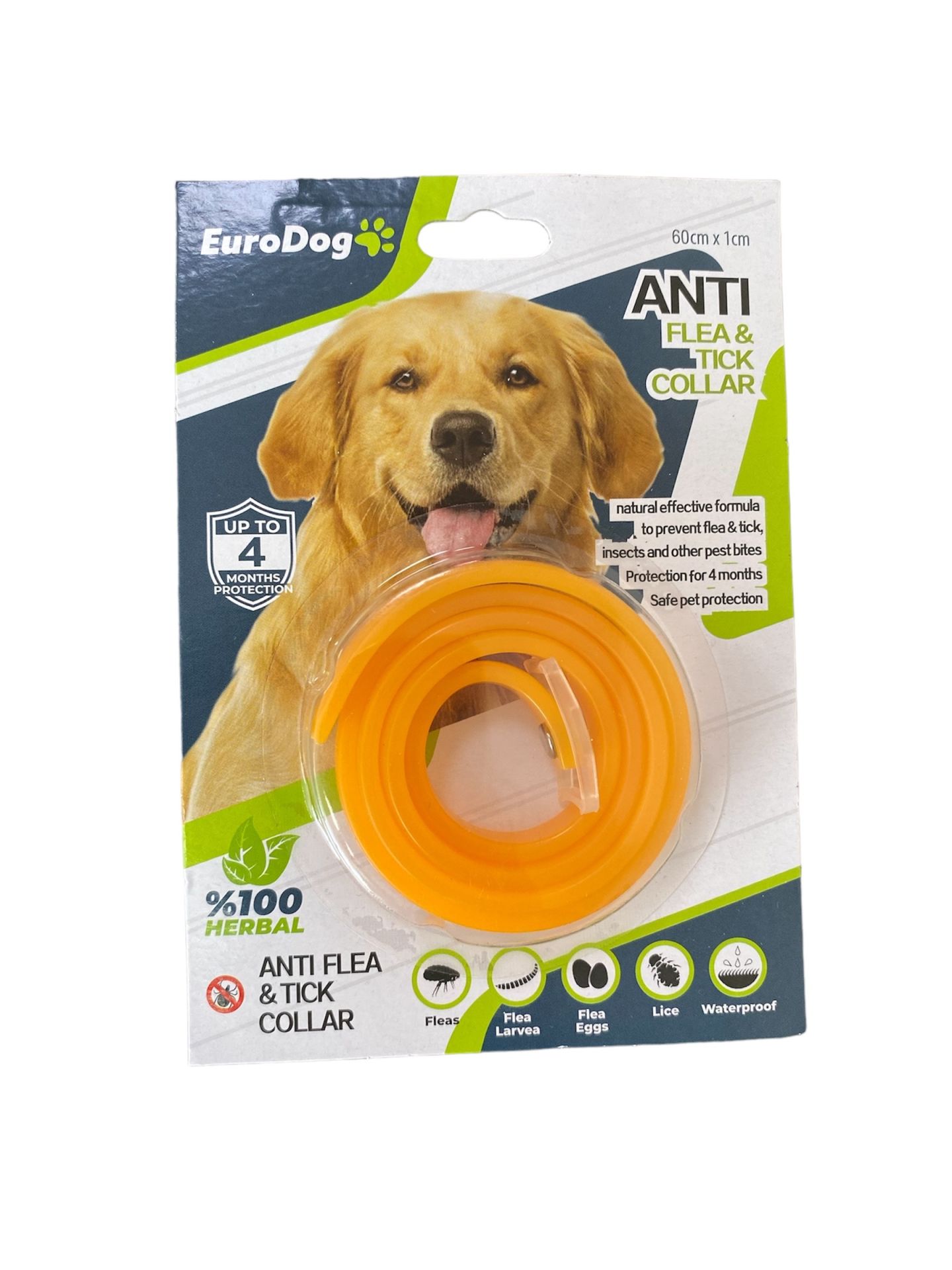 TURUNCU PİRE KÖPEK TASMASI 60 CM