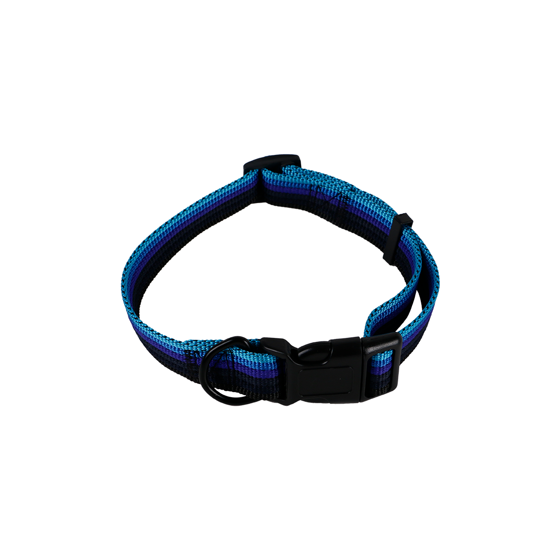 KARMA RENK BOYUN TASMA 2,5 CM