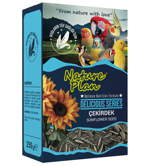 NATURE PLAN DELİCİOUS SERİSİ ÇEKİRDEK 250 GR (KUTU İÇİ 12 ADETTİR)