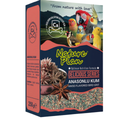 NATURE PLAN DELİCİOUS SERİSİ ANASONLU KUM 250GR (KUTU İÇİ 12 ADETTİR)