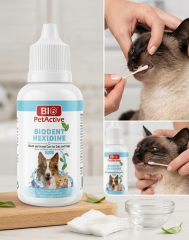 BİODENT HEXİDİNE AĞIZ BAKIM LOSYONU 50 ML(12'Lİ KOLİ FİYATIDIR)