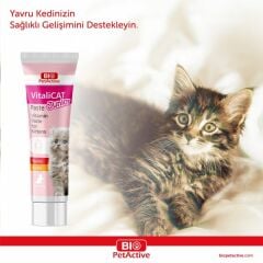 VİTALİ CAT PASTE JUNİOR 100 ML