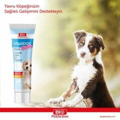 VİTALİ DOG PASTE JUNİOR 100 ML