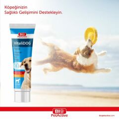 VİTALİ DOG PASTE 100 ML